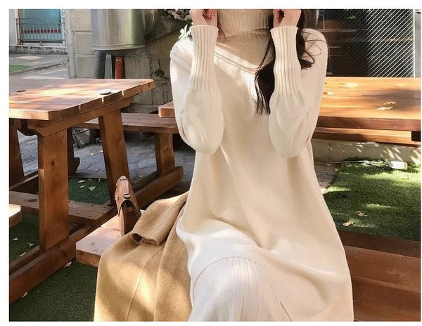 Turtleneck Sweater Long Sleeve Dress